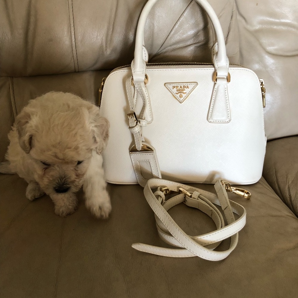 Prada handbag small size